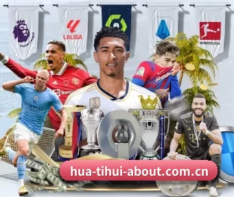 hth体育 APP