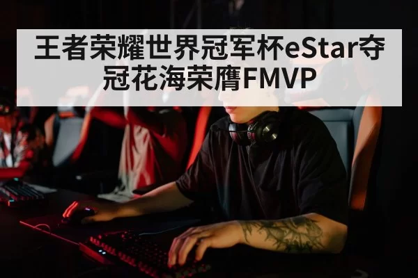 王者荣耀世界冠军杯eStar夺冠花海荣膺FMVP