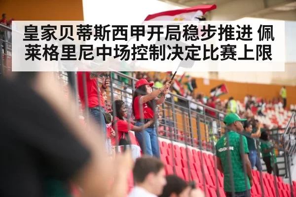 soccer stadium match crowd